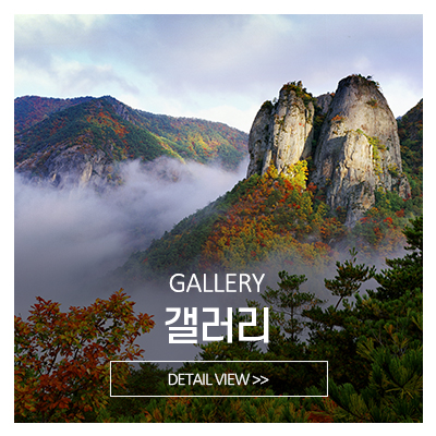 약명도사_메인중간_갤러리